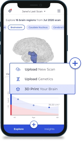 print brain dashboard